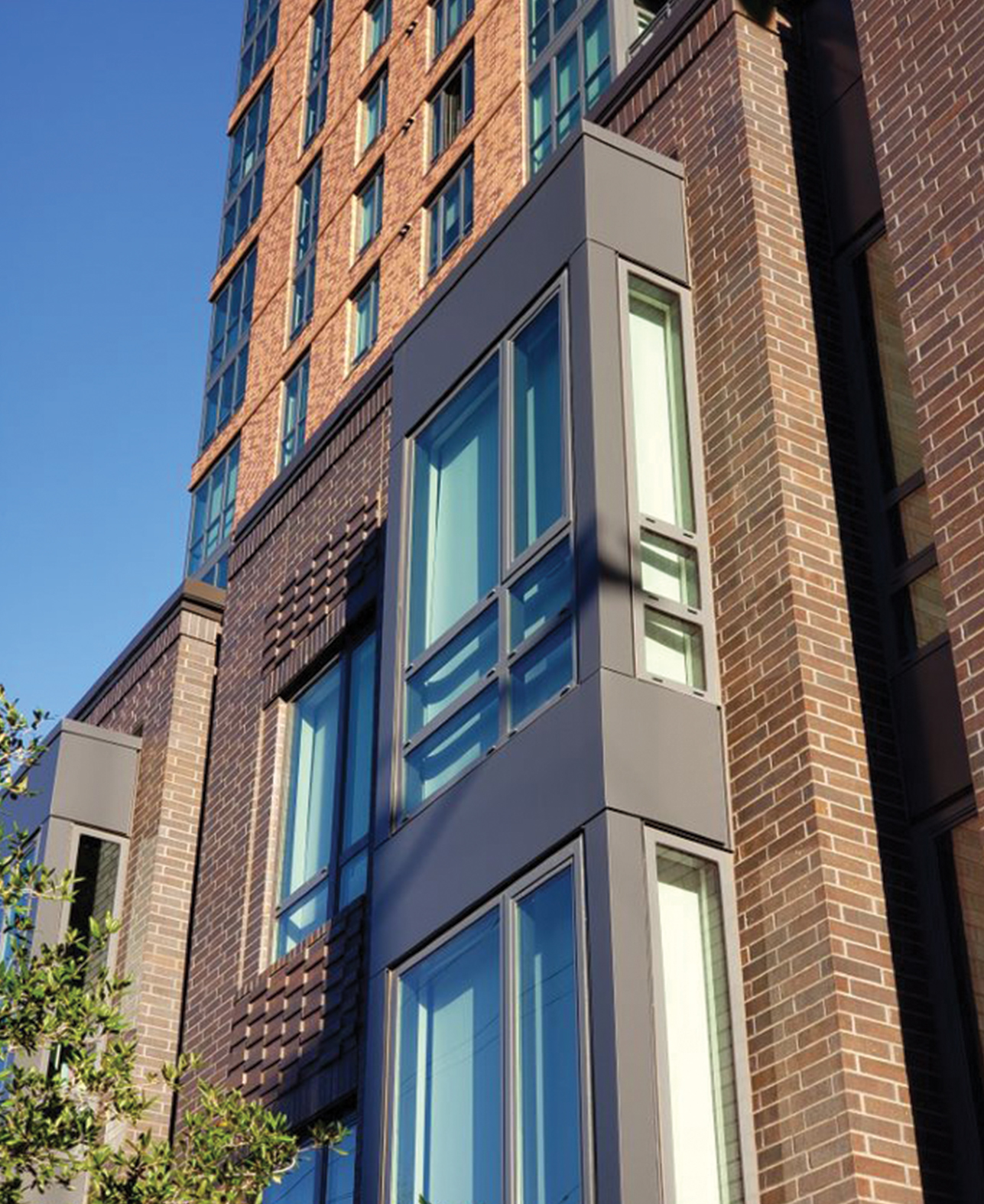 Aster: Dallas, TX | WDG Architecture. Planning. Interiors.